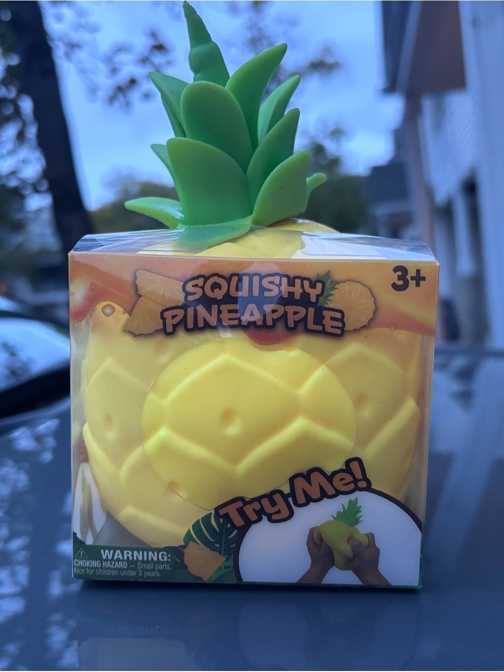 Sunny Days Squeezze Pineapple Squishy